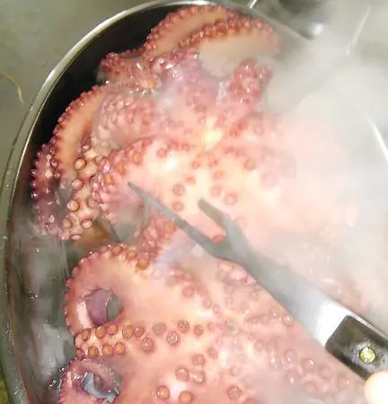 Hotel Conde Taboadela